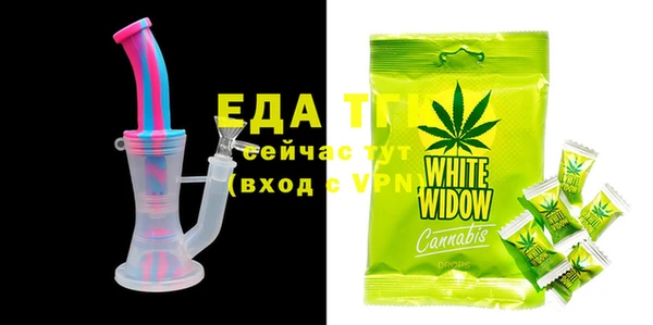 индика Мегион